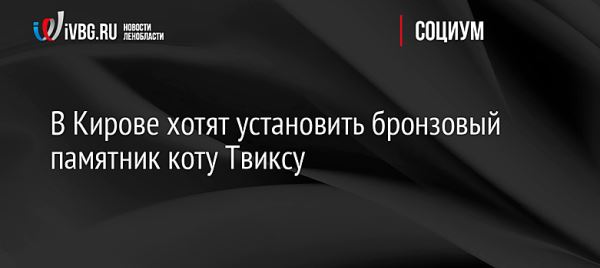 В Кирове хотят установить бронзовый памятник коту Твиксу